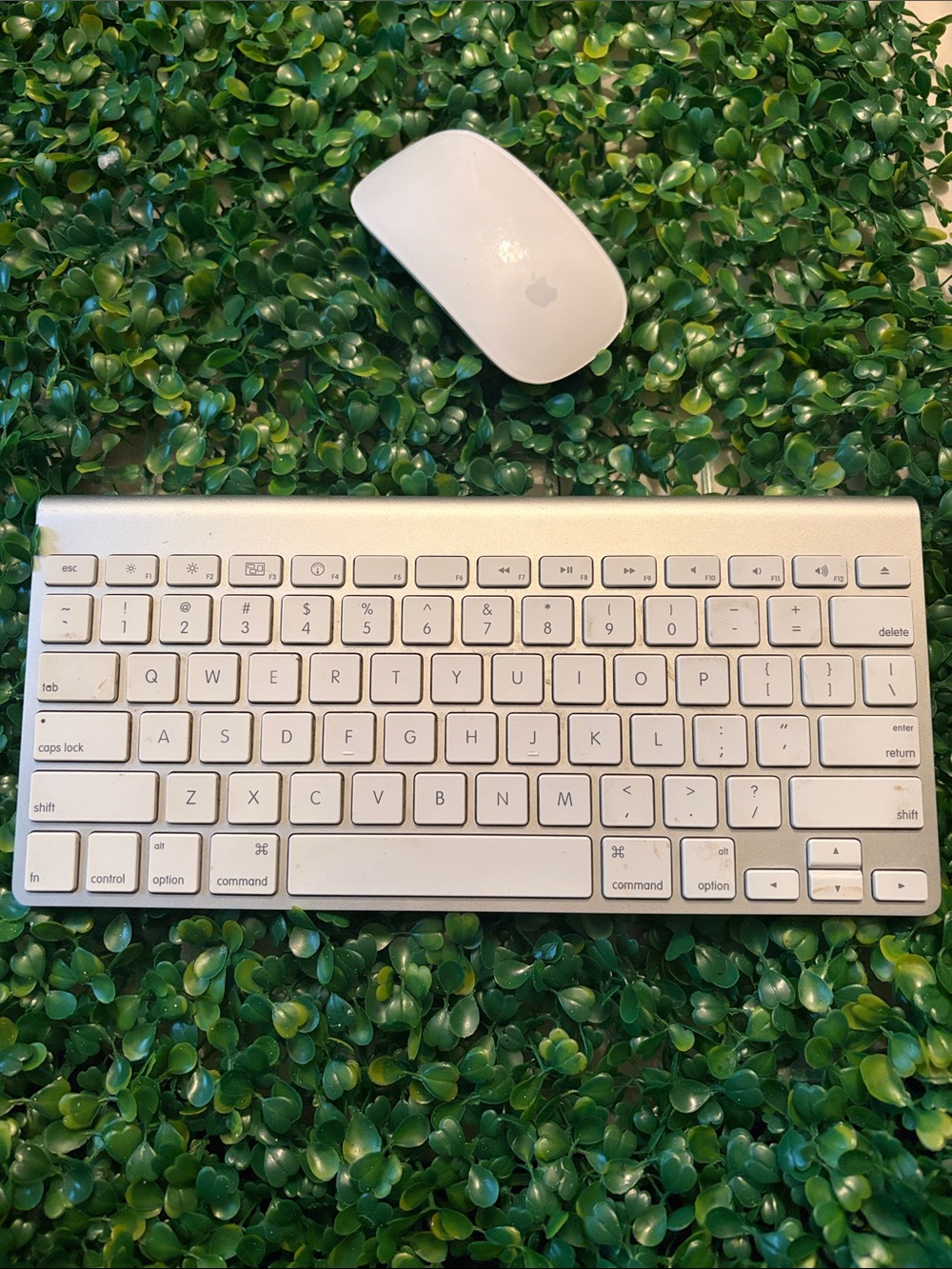 Apple Magic Mouse and Wireless Keyboard